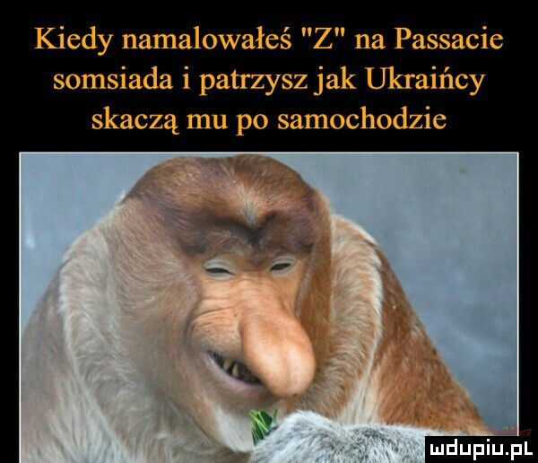 kiedy namalowałeś z na passacie somsiada i patrzysz jak ukraińcy skaczą mu po samochodzie