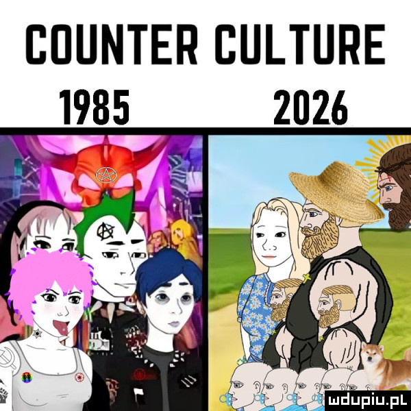 counter culture        st