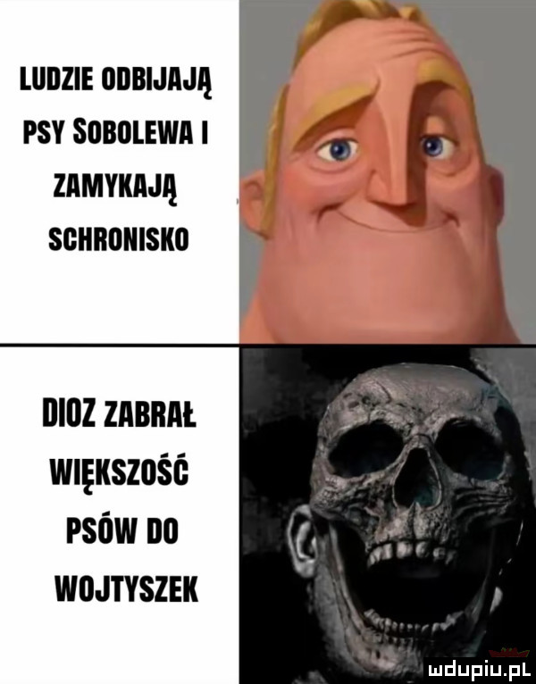 lllilzie odbijają psy sobolewa i zamykają schronisko nlnz znnnnt wlęuszość psów no wbij i vszek