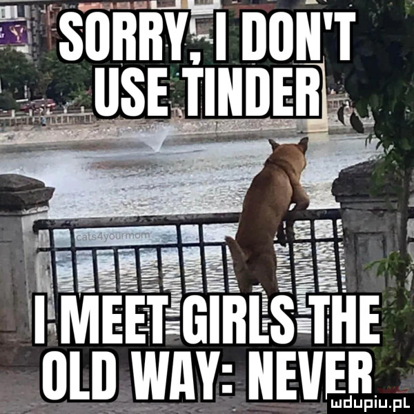 ti sobityfi doit t wetindeb f ą. w mg meet iiiiieseihe dul wdy wie