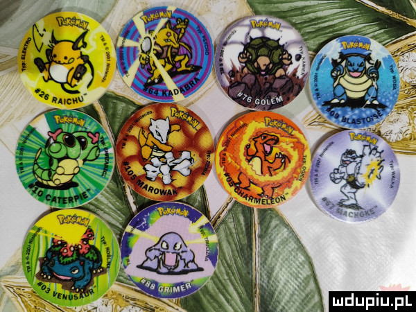 ł v i w  x m upiu pl