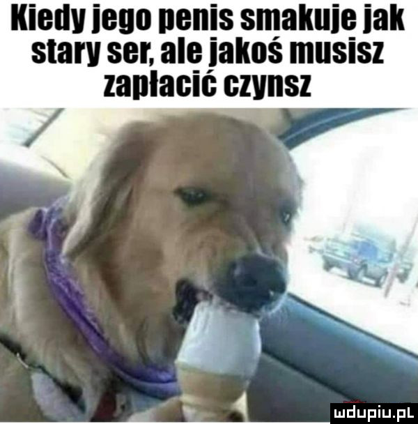 ﬂied ieuo nenis smakuję idk stary ser an jakos musisz zanlaclc czynsz
