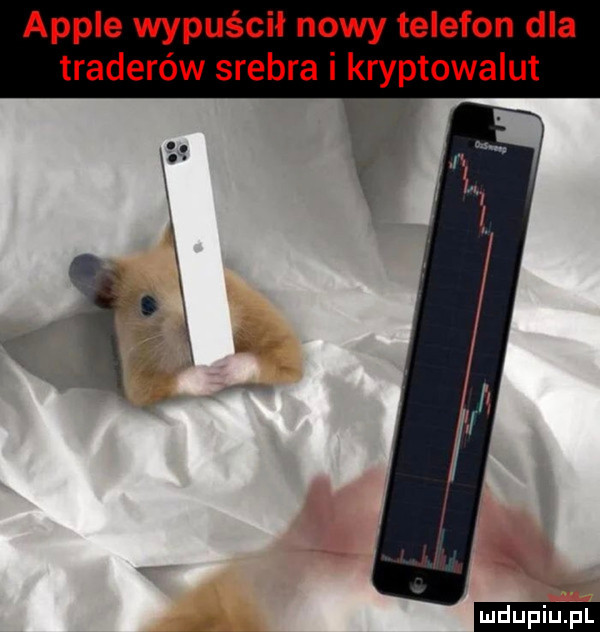 ample wypuścił nowy telefon dla traderów srebra i kryptowalut ludu iu. l