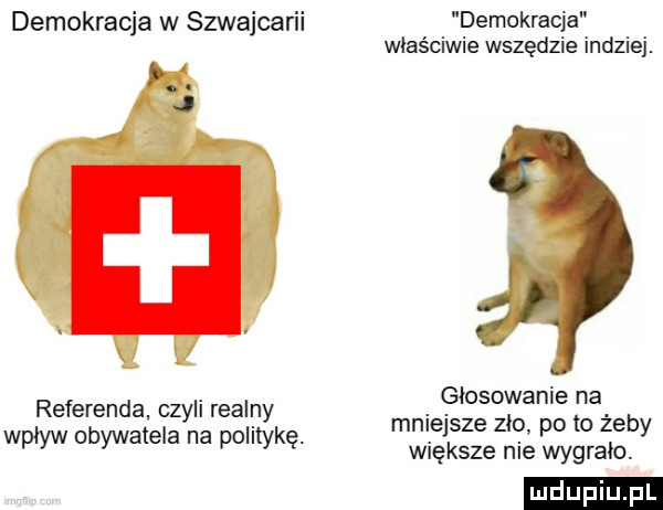 demokracja w szwajcarii demokracja właściwie wszedzie indziej. głosowanie na mniejsze zlo po to żeby większe nie wygralo. referenda czyli realny wplyw obywatela na politykę