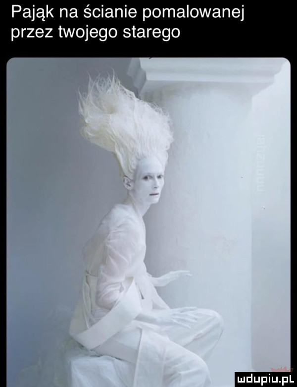 pająk na ścianie pomalowanej przez twojego starego