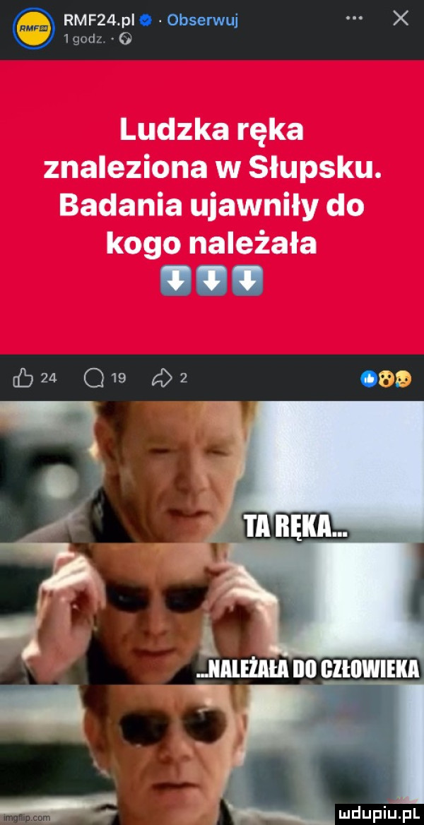 rmf   p o obserwuj x    m o ludzka ręka znaleziona w słupsku. badania ujawniły do kogo należała q  bm gw   o i