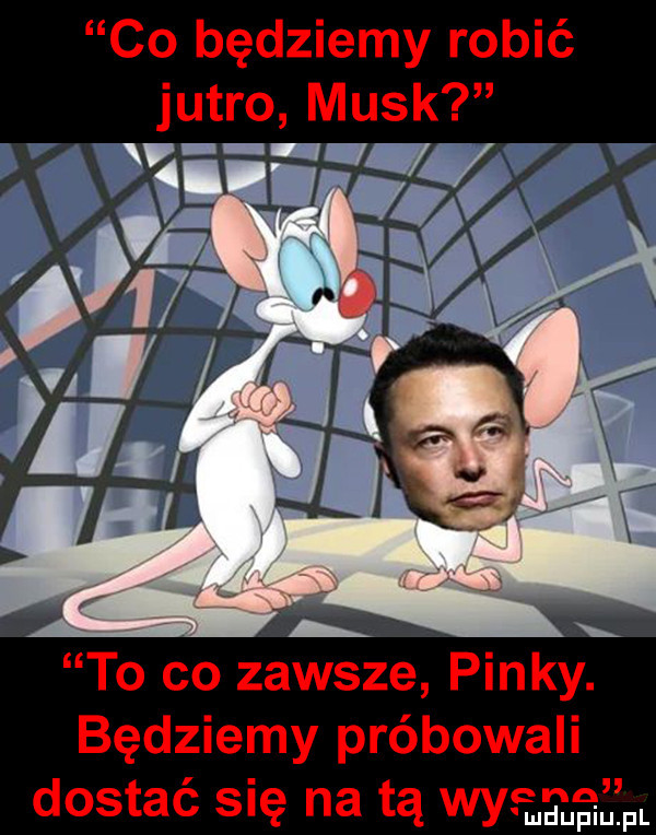 co będziemy robić jutro munk x  u.    to co zawsze pin-y. będziemy próbowali dostać się na tą wyąmipl