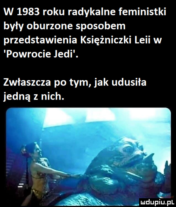 w      roku radykalne feministki były oburzone sposobem przedstawienia księżniczki leci w powrocie judi. zwłaszcza po tym jak udusiła jedną z nich. x   śy. abakankami. mdupłpl