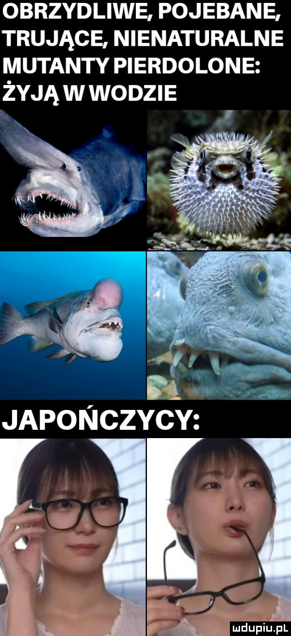 obrzydliwe pojebane trujące nienaturalne mutanty pierdolone żyjąwwodzie