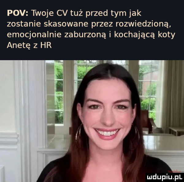 pcv twoje cv tuż przed tym jak zostanie skasowane przez rozwiedziona emocjonalnie zaburzoną i kochającą koty anetę z hr