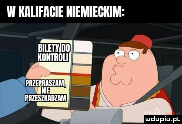 w kalifacie niemieckim pnzmnszm. abakankami irli pbies zkaiizim