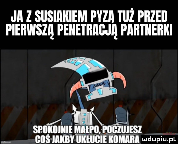 jal z siusiakiem pyza tiiż przed pierwszą peiietbagją pabtiieiiki spokiiiiiieiiinexpiigiiiiesi ills ibl llłiigie mmm defiu f