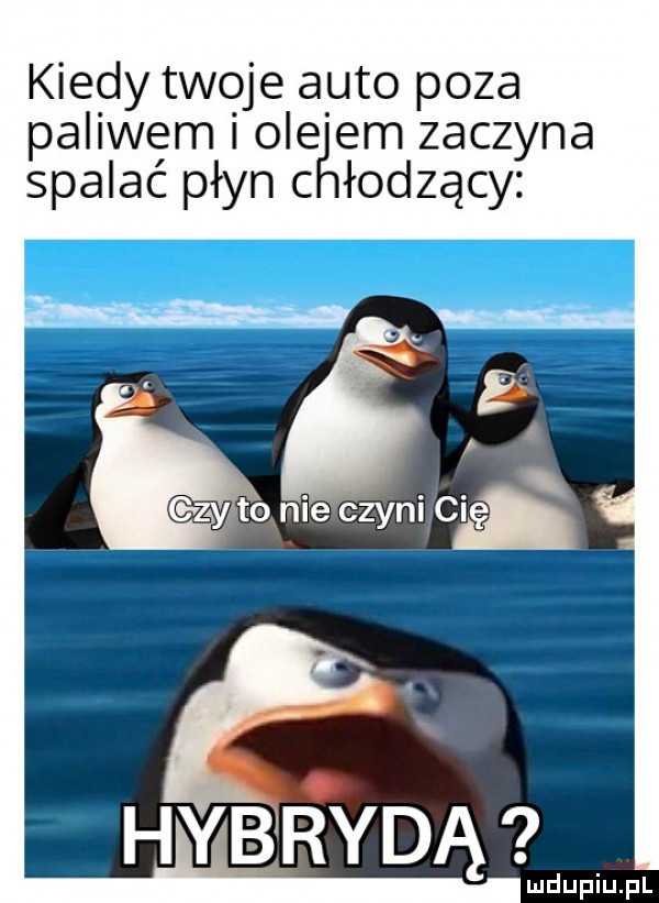 kiedy twoje auto poza paliwem ole em zaczyna spalać płyn c ładzący da ludupiu. pl