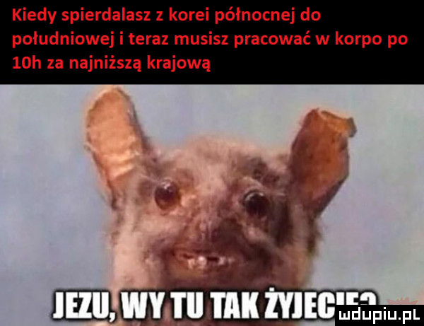 kiedy spierdalasx   korei północnej do południowej i teraz musisz pracować w korpo po   h za najniższą krajową