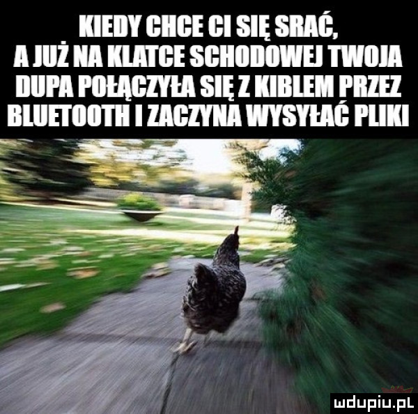 iieiiy big bi się snuć. a lill ibl mae sgiiiiii ici mru illll l menu się l iiiiiii iiib iilllei iab i ii i mam mm i ilii