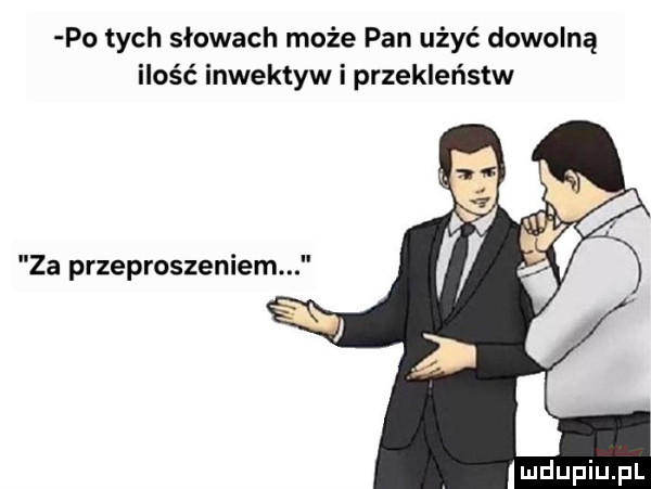 po tych słowach może pan użyć dowolną ilość inwektyw i przekleństw