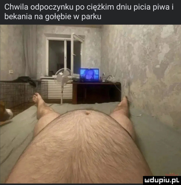 chwila odpoczynku po ciężkim dniu picia piwa i bekania na gołębie w parku