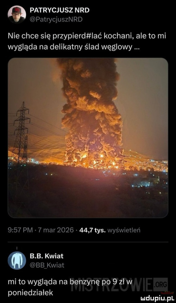 patrycjusz n rd patrycjusznrd nie chce się przypierd lać kochani ale to mi wygląda na delikatny ślad węglowy      pm   mar          tys. wyświetleń. b b. lent bb kwiat mi to wygląda na limuzynę po    w. poniedziałek ludupiu fil