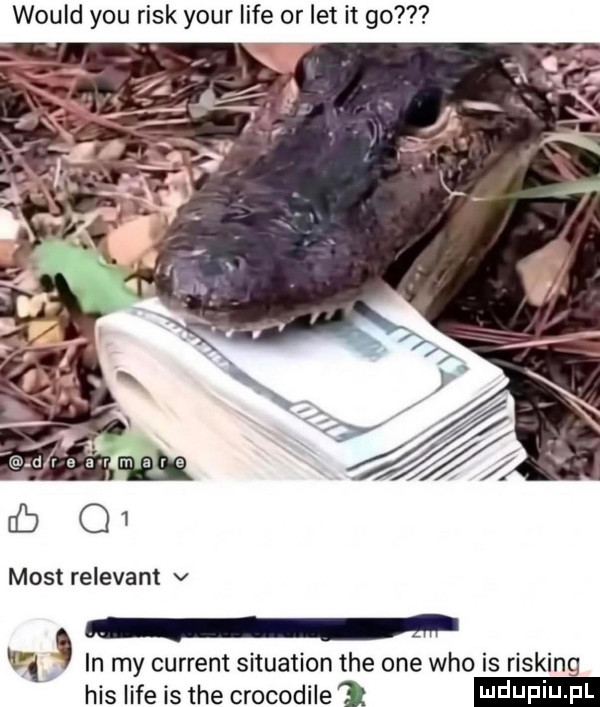 would y-u rick your lice or let it go most relevant v vl in my current situation tee one who is risking his lice is tee crocodile
