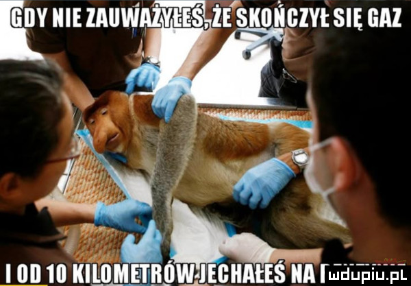 żi snnńczvtsuzunl w mew nżvnzś i iii iii kilqmei iw ieghałeś a jal hihi