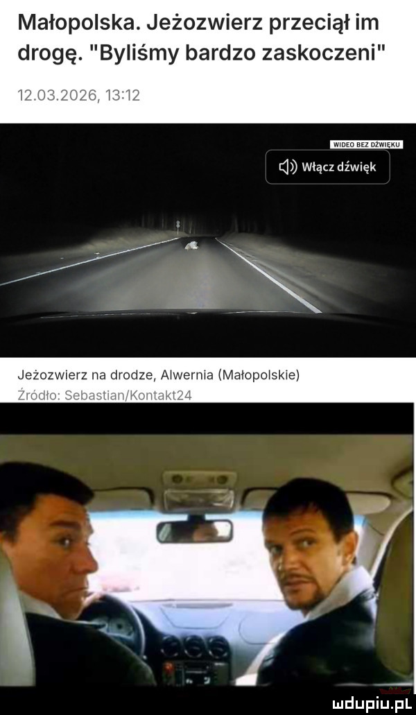 małopolska. jeżozwierz przeciął im drogę. bylis y bardzo zaskoczeni d włącz dźwięk jezozwierz na drodze a worma malopo spie h h j j l