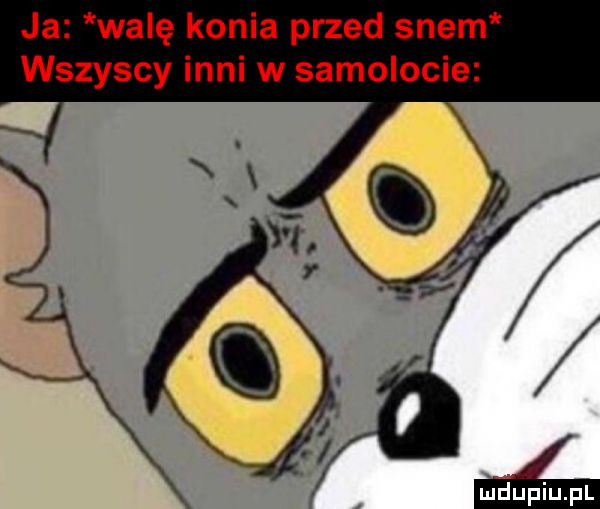 ja walę konia przed snem wszyscy inni w samolocie