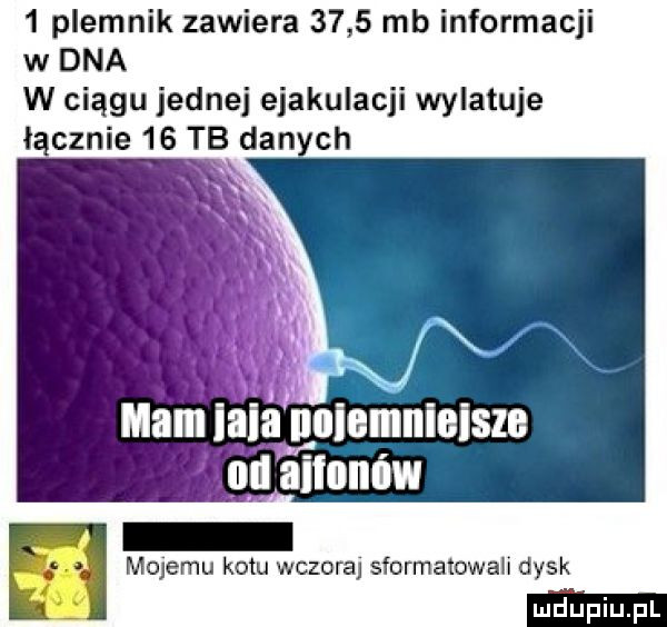 plemnik zawiera      mb informacji w dna w ciągu jednej ejakulacji wylatuje i. cenie    tb danych mam la ullcmnllsza an aiiuniw fl mulemu kotu wczora sforrnatowali dysk