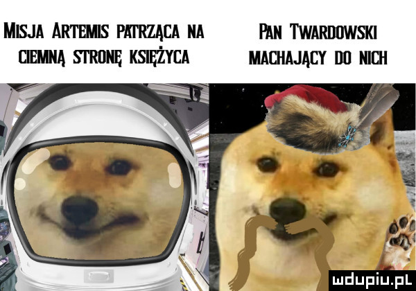 misja artms pa l rwąca a pan twardowski gemma stronę księżyca machajacy i   nich mdupinl