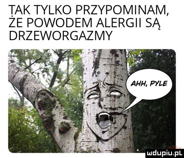 tak tylko przypominam ze powodem alergii są drzeworgazmy
