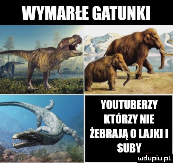 wymarłe gatunki viiiitiibeiiiy którzy hme żebiiaia ll lalki i skiby