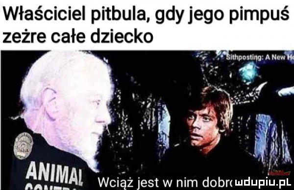 Obrazek
