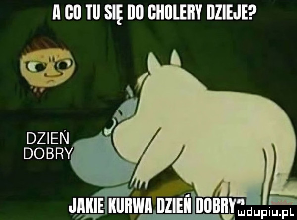 Obrazek