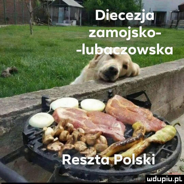Obrazek