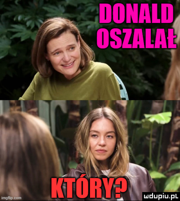 Obrazek