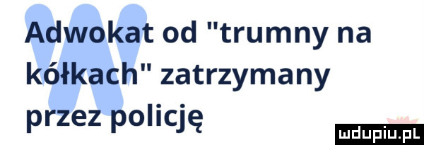 adwokat od trumny na kółkach zatrzymany przez policję