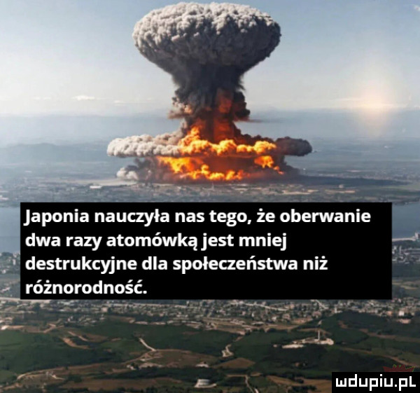 dwa razy atomówką jest mniej destrukcyjne dla społeczeństwa niż różnorodność. abakankami xd.    l j f