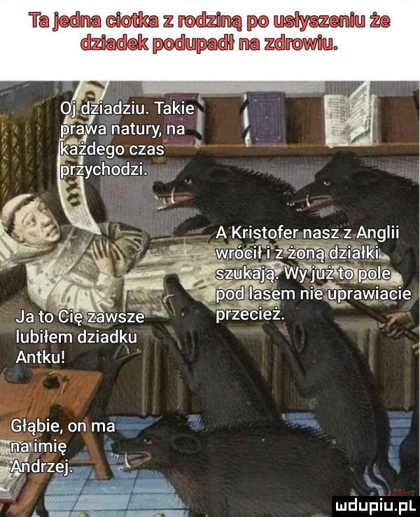Obrazek