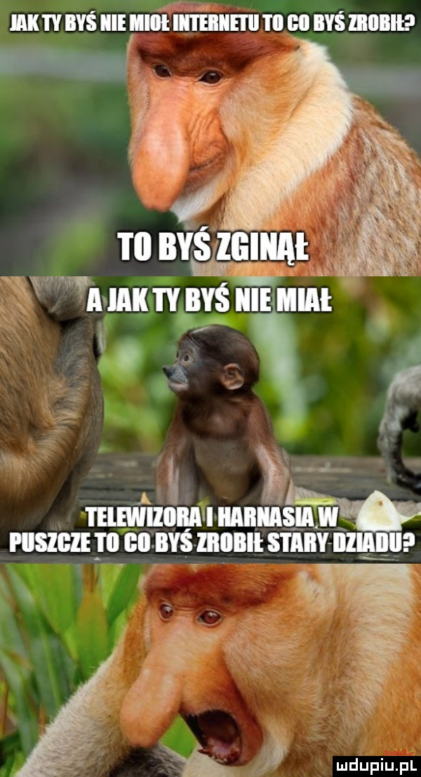 Obrazek