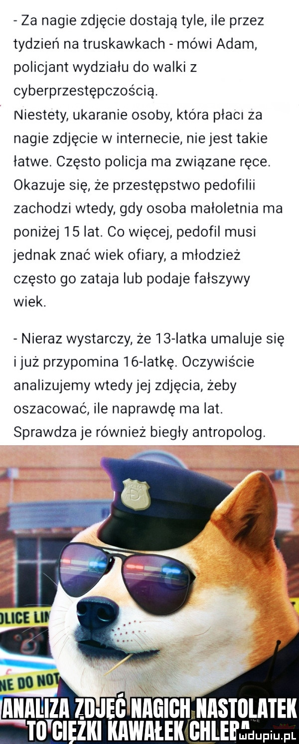 za nagie zdjęcie dostają tyle ile przez tydzień na truskawkach mówi adam policjant wydziału do walki z cyberprzestępczościa. niestety ukaranie osoby która placi za nagie zdjęcie w internecie nie jest takie łatwe często policja ma związane ręce. okazuje się że przestępstwo pedofilii zachodzi wtedy gdy osoba małoletnia ma poniżej    lat. co więcej pedofil musi jednak znac wiek ofiary a młodzież często go zataja lub podaje fałszywy wiek. nieraz wystarczy że is iatka umaluje się iluż przypomina ló iat-ę. oczywiście analizujemy wtedy jej zdjęcia żeby oszacować ice naprawdę ma lat. sprawdza je również biegły antropolog. e. to gi żali kawałek cul ell iildupiu. fl