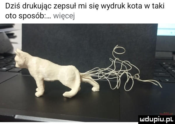 dziś drukując zepsuł mi się wydruk kota w taki oto sposób więcej