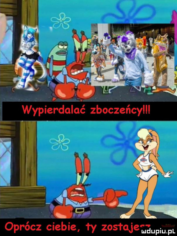 oprócz ciebie ty zostaje ludupiu. pl