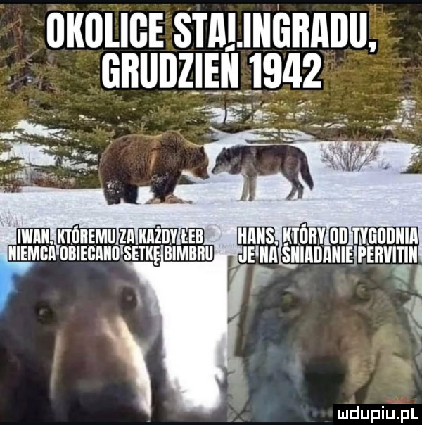 okolice staliiigbaiiii. abakankami liﬂllileell