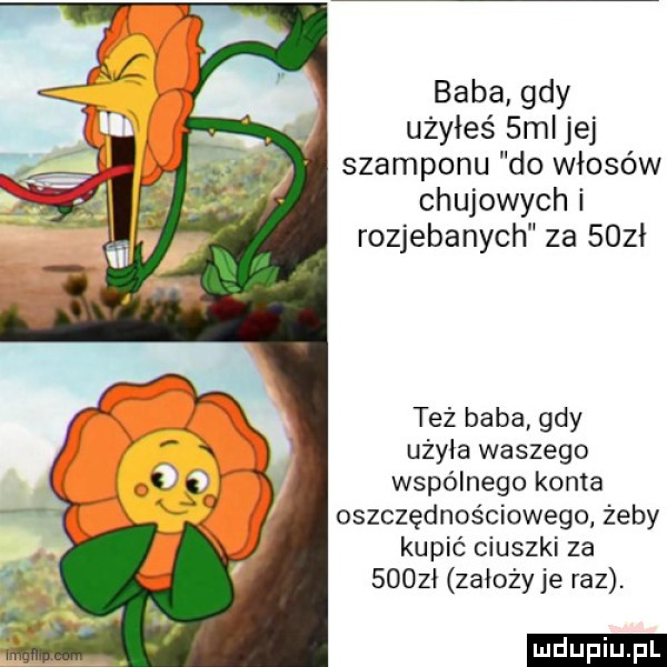 Obrazek