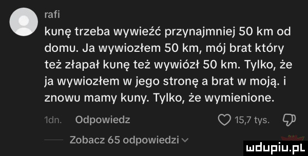 rabi kunę trzeba wywieźć przynajmniej    km od domu. ja wywiozłem    km méj brat który też złapał kunę też wywiózł    km. tylko że ja wywiozłem w jego stronę a brat w moją. i znowu mamy kuny. tylko że wymienione. odpowiedz      ws. q zobacz    od owiedzi v. p mduplu pl