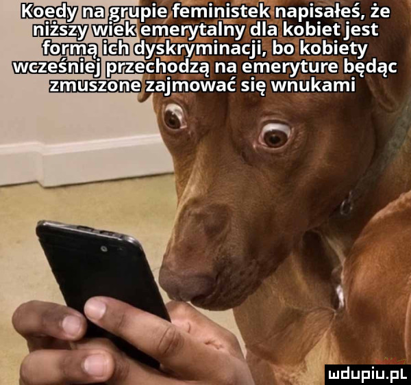 Obrazek