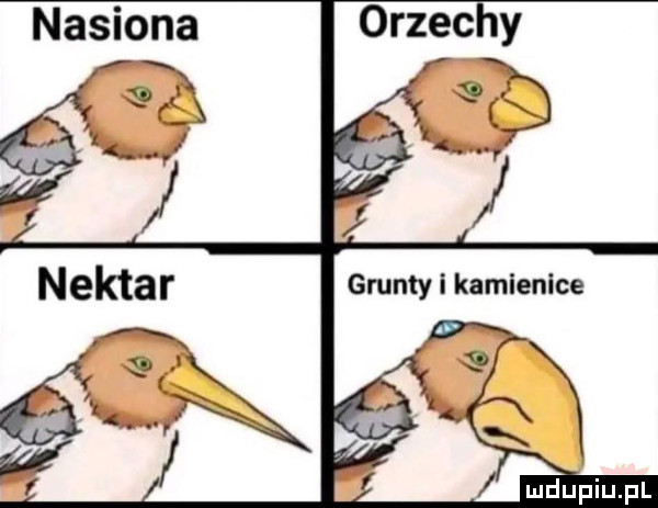 Obrazek