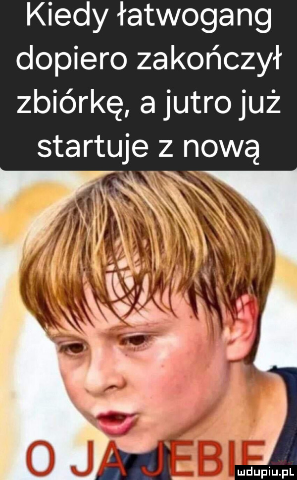 Obrazek