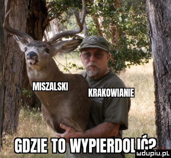 Obrazek