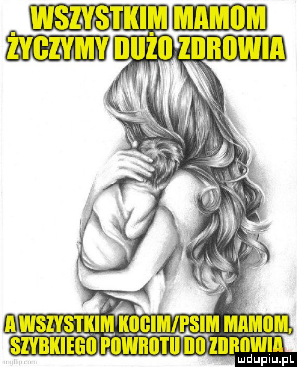 Obrazek