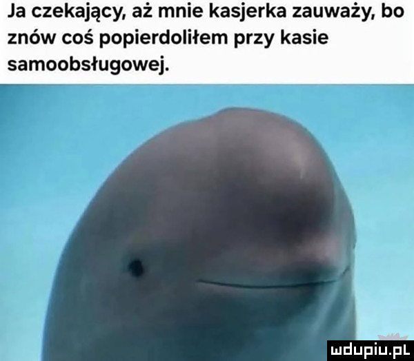 Obrazek